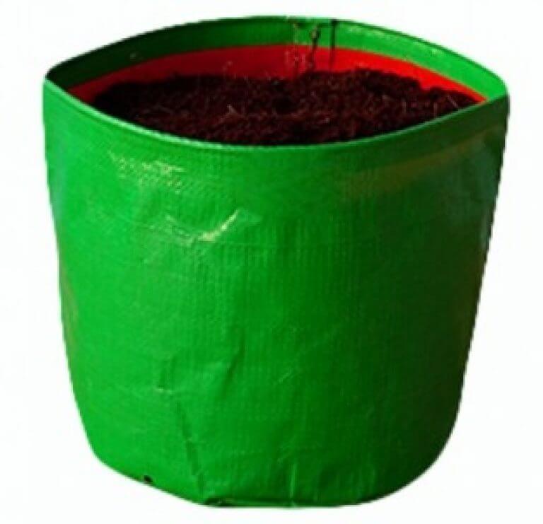 Grow Bags