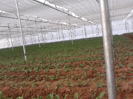 Agro Nets And More