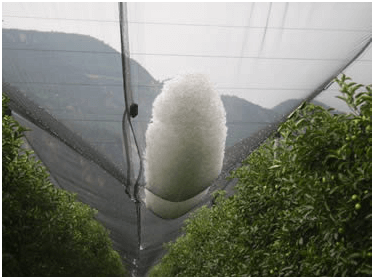 Anti-hail Nets