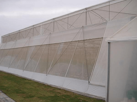 Insect Nets