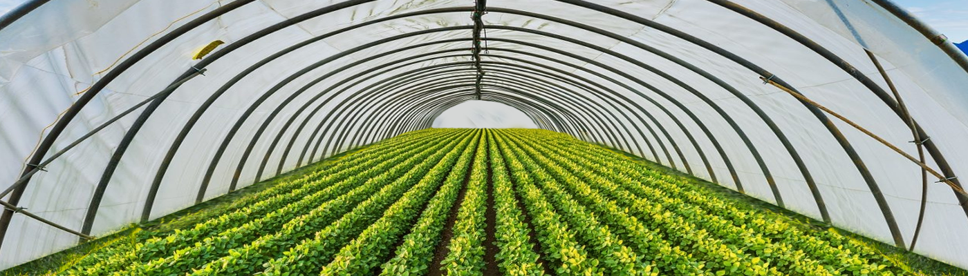 Agro Nets and More