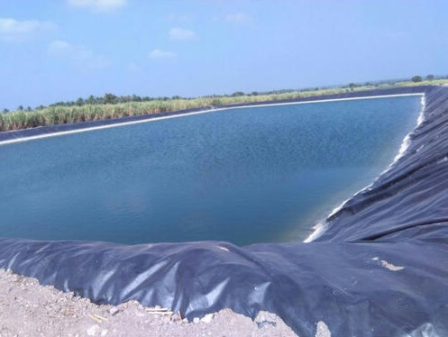 Pond Liner