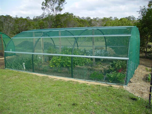 Plant Shelters